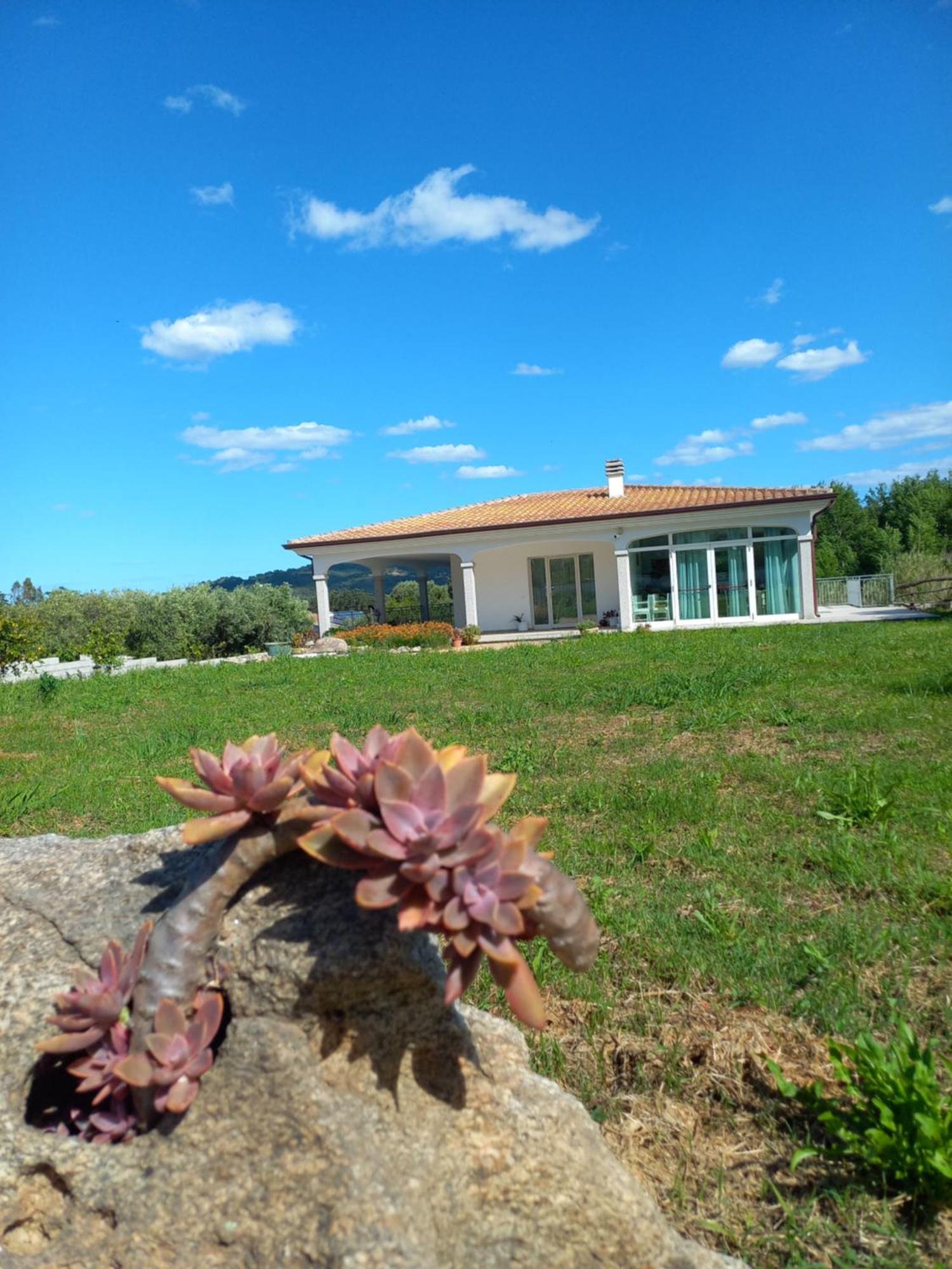 Agriturismo B&B Mares E Montes De Marrante Siniscola Zewnętrze zdjęcie